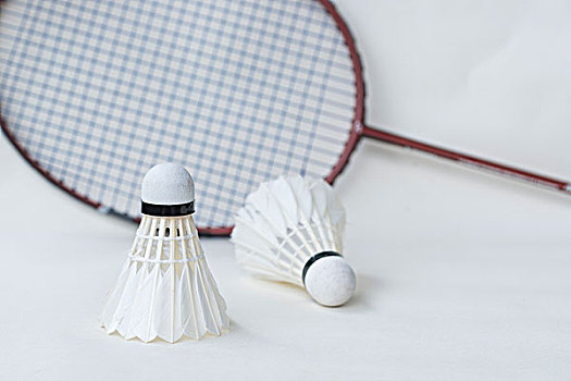 作一个重要 作一个重要