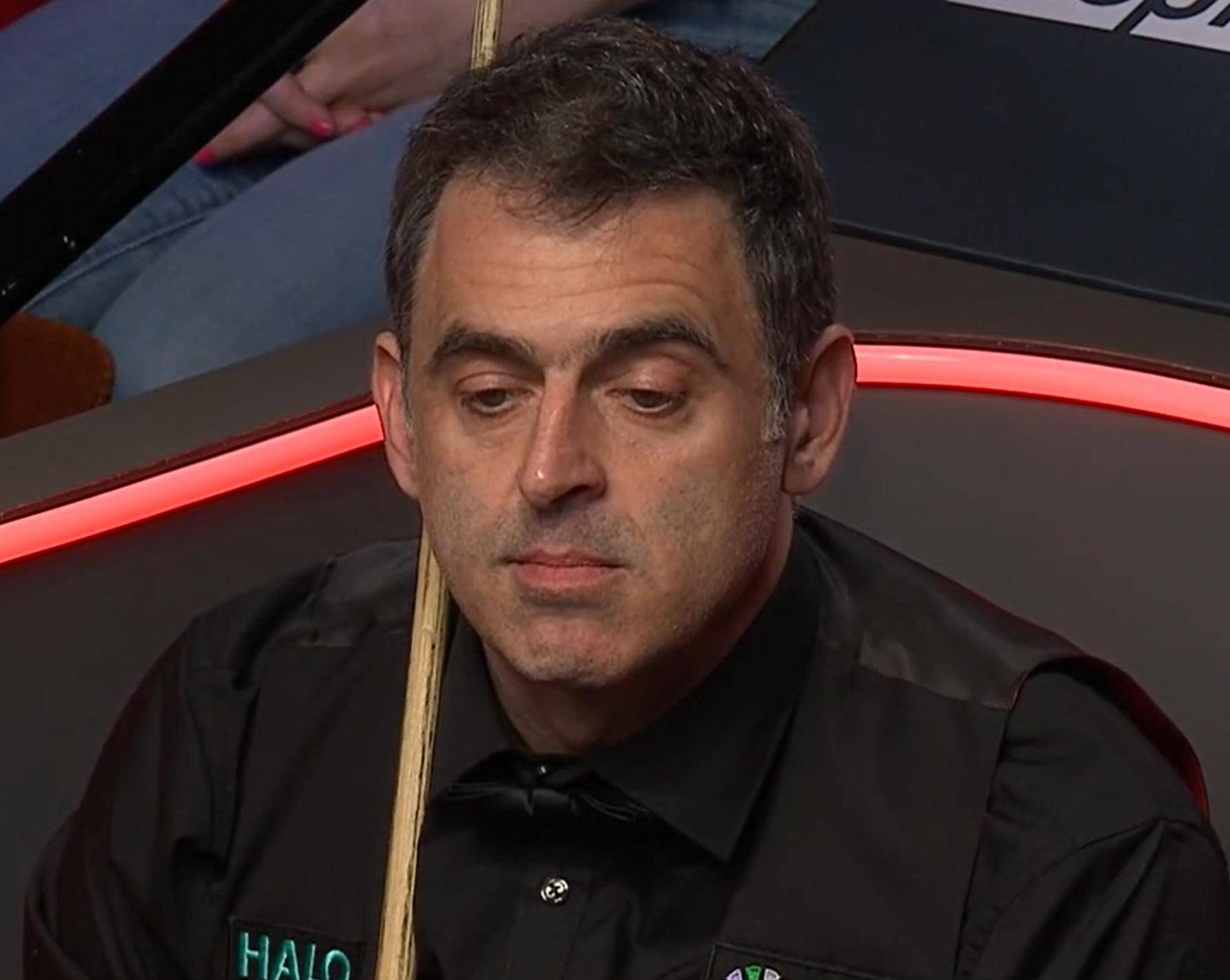 将成为未来 将成为未来