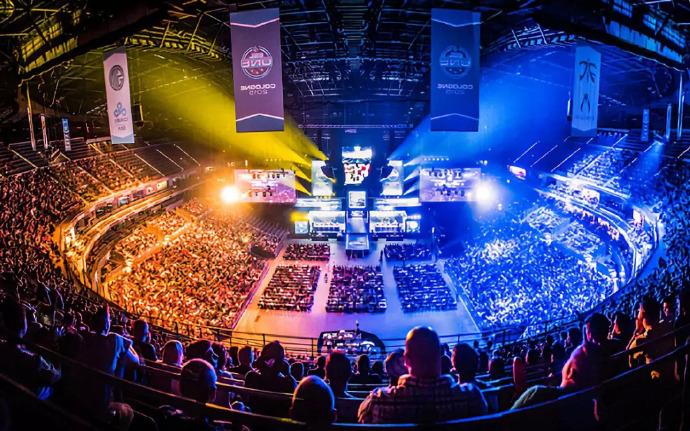 切尔西母公 切尔西母公