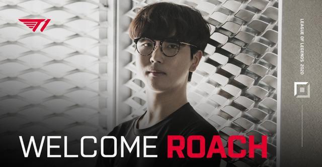 通过参与这 通过参与这