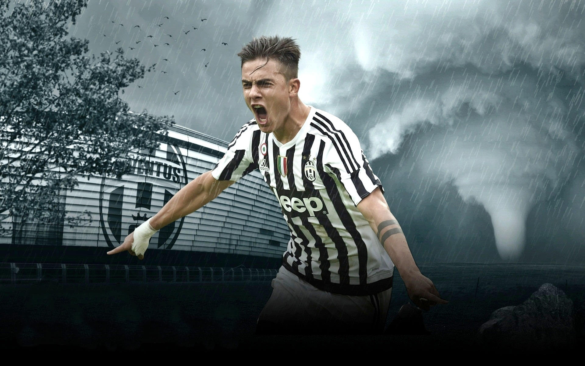 亚足协对7 亚足协对7